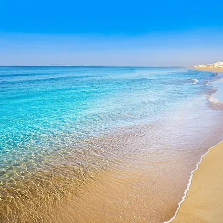 Harmony Terrace Haven With Pool Apartment Torrevieja